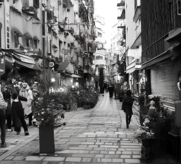 沈阳展会用品商贸,助力全国市场增长,全国展会专柜服务,全国市场发展助力。
